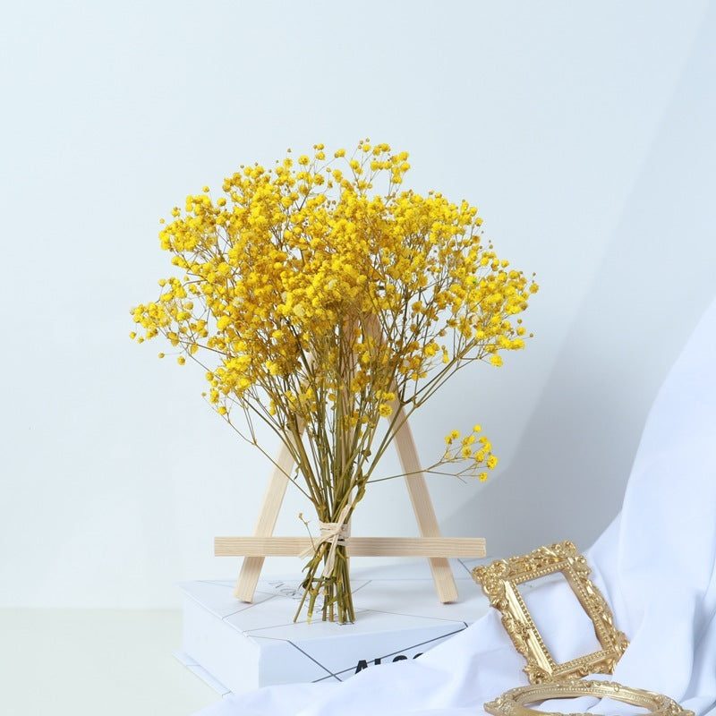 Ramo de flores secas de gypsophila, flores reales secadas al aire, decoración para sala de estar