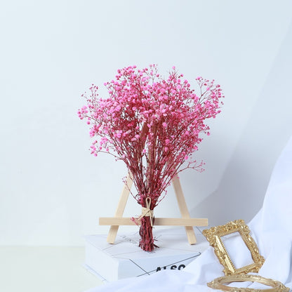 Ramo de flores secas de gypsophila, flores reales secadas al aire, decoración para sala de estar