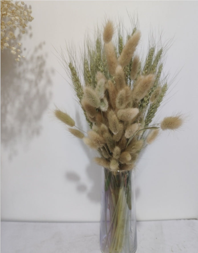 Light Color Wedding Bouquet Natural Dried Pampas Reed Flower Reed Decoration