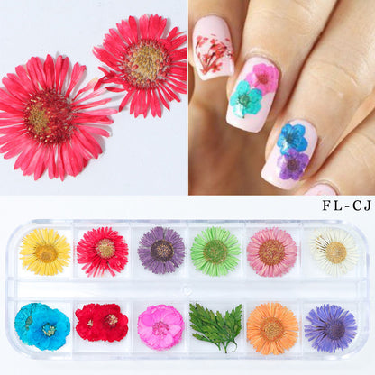 Arte de uñas con flores secas