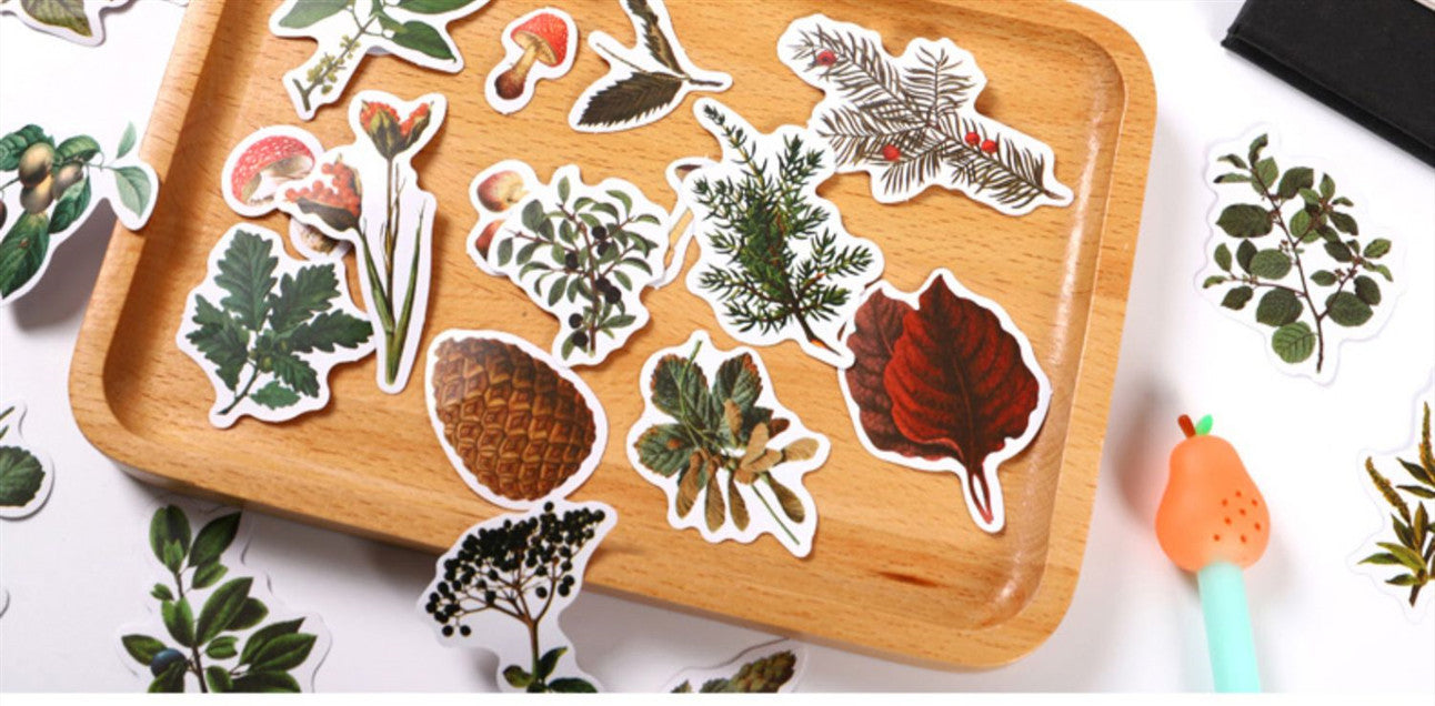 Forest Mushroom Hand Account Box Stickers