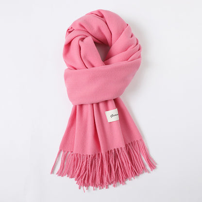 Simple Solid Color Tassel Shawl Autumn And Winter Warm Artificial Cashmere Scarf